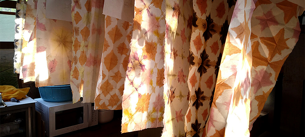 トップイメージ